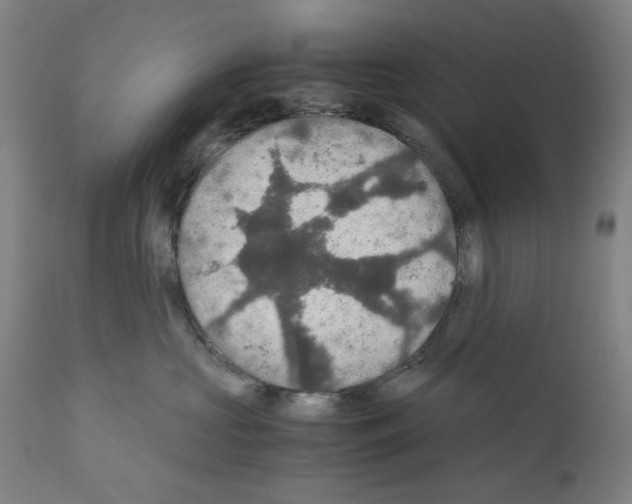 X0000110890573200907301545