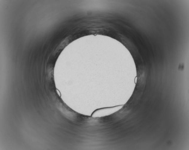 X0000110890574200907301545