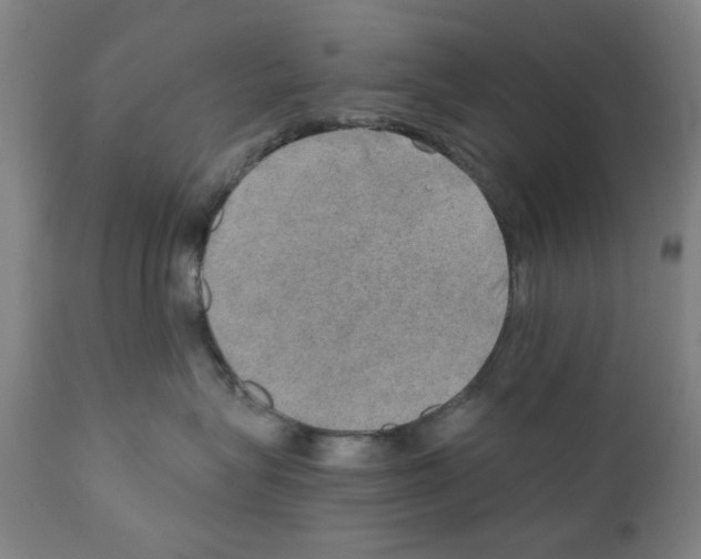 X0000110890575200907301545