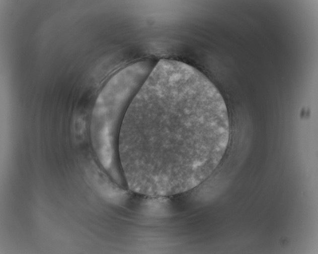 X0000110890576200907301545