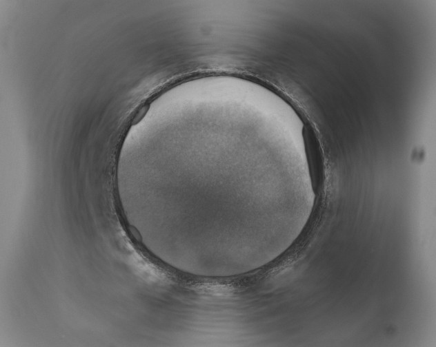 X0000110890577200907301544