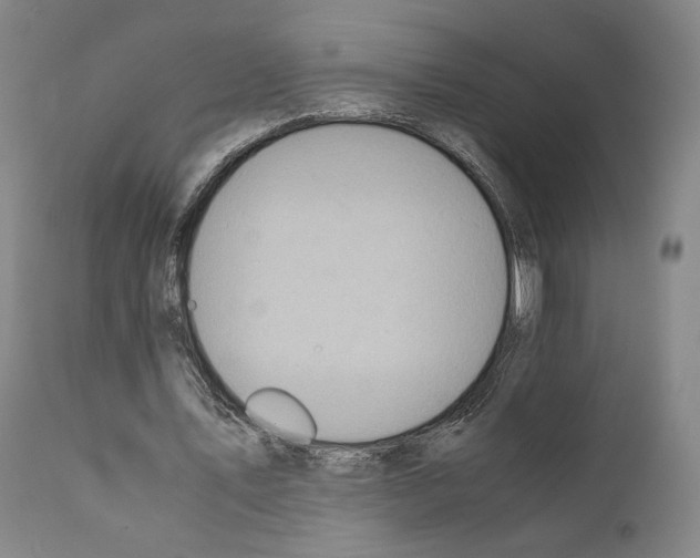 X0000110890579200907301544