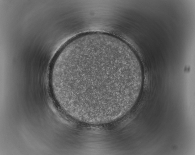 X0000110890580200907301544