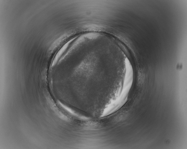 X0000110890581200907301544