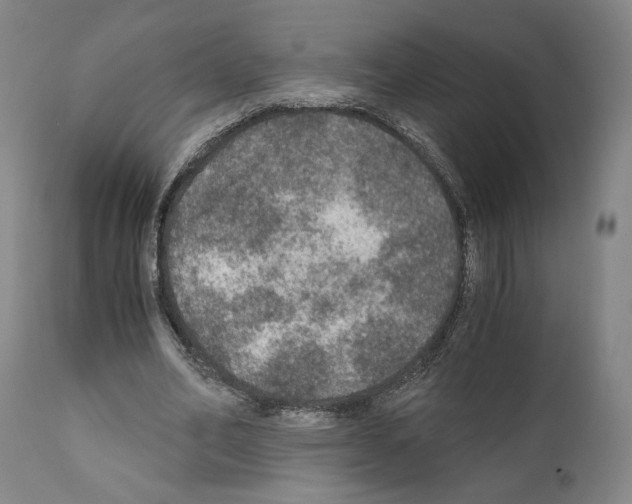 X0000110890582200907301544