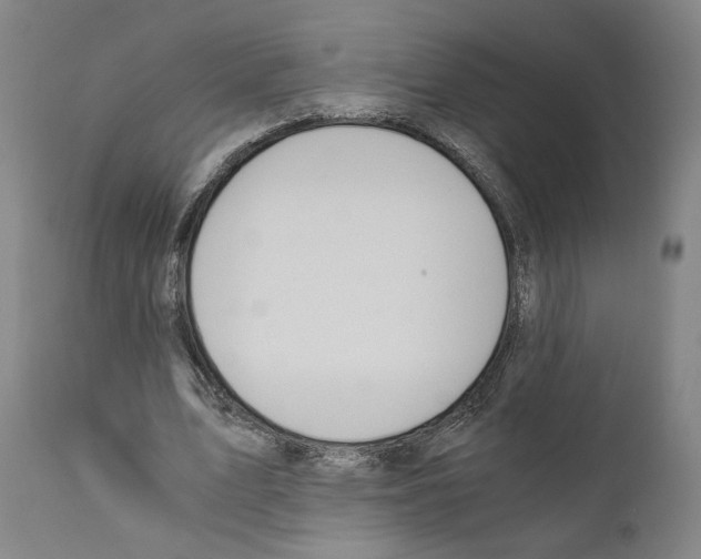 X0000110890583200907301544
