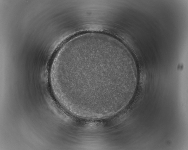 X0000110890584200907301544