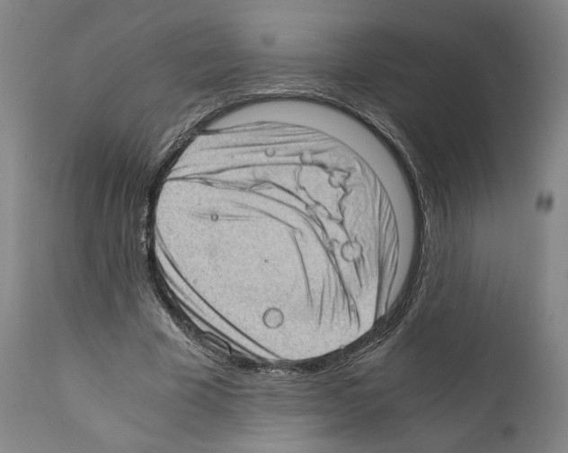 X0000110890585200907301544