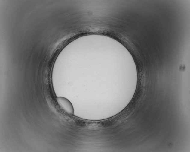 X0000110890587200907301544