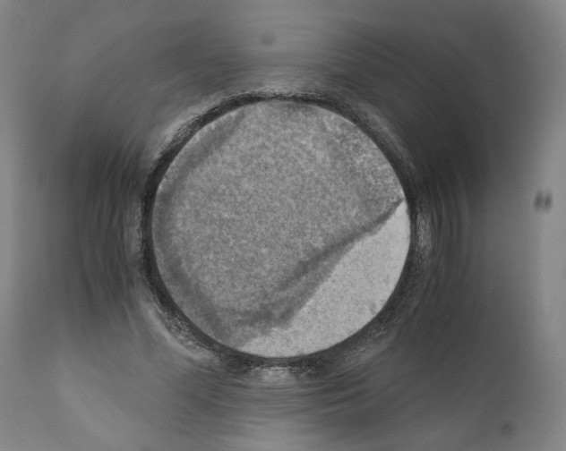 X0000110890588200907301544
