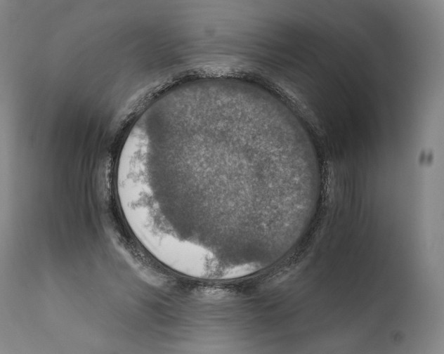 X0000110890590200907301544
