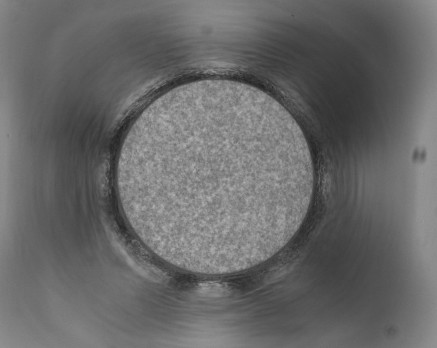 X0000110890591200907301544