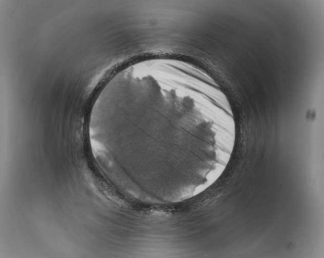 X0000110890592200907301544