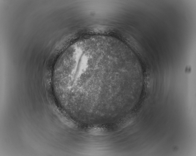 X0000110890593200907301544