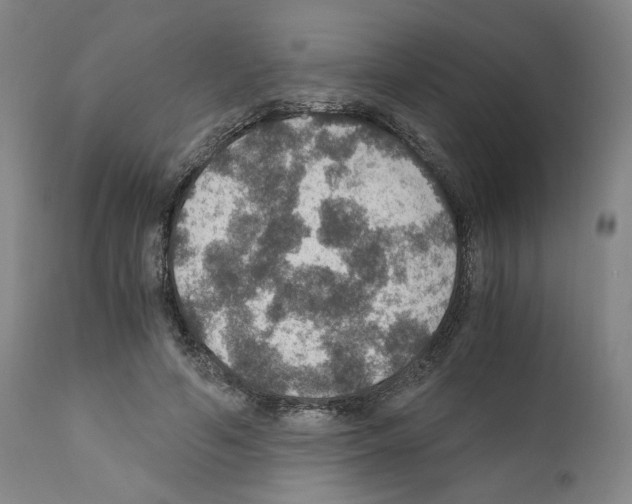 X0000110890594200907301544