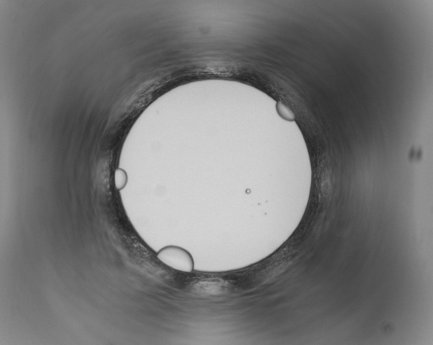 X0000110890595200907301544