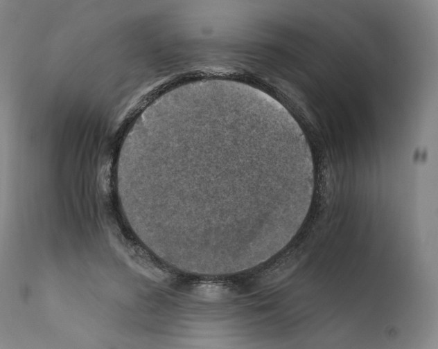 X0000110890596200907301544