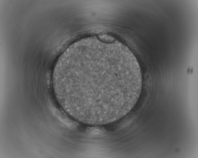 X0000110890597200907301544
