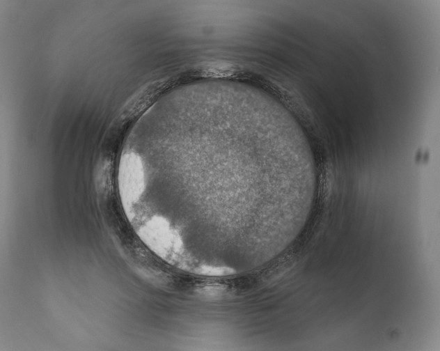 X0000110890598200907301544
