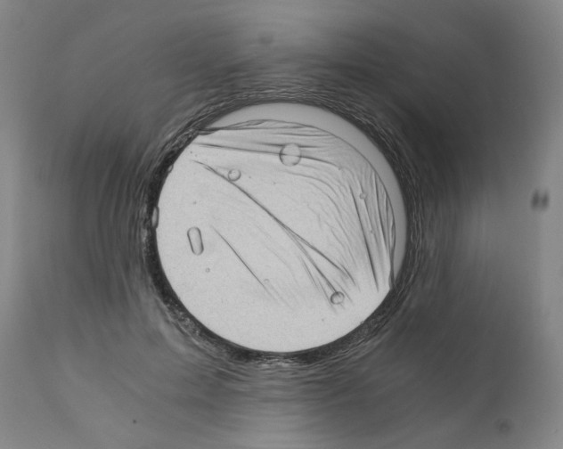 X0000110890599200907301544