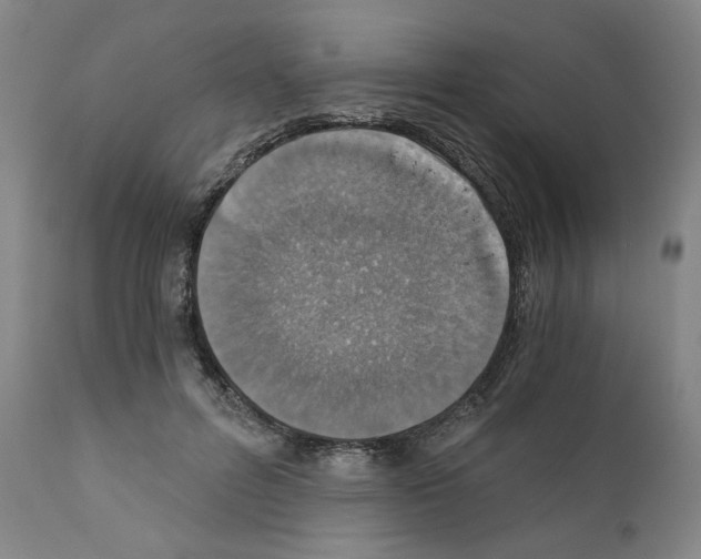 X0000110890600200907301544