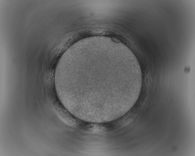 X0000110890601200907301544