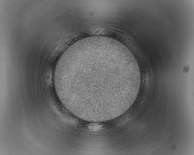 X0000110890602200907301544
