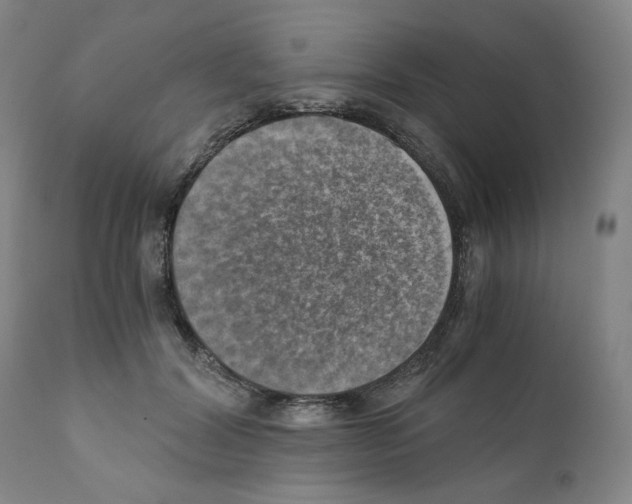 X0000110890604200907301544