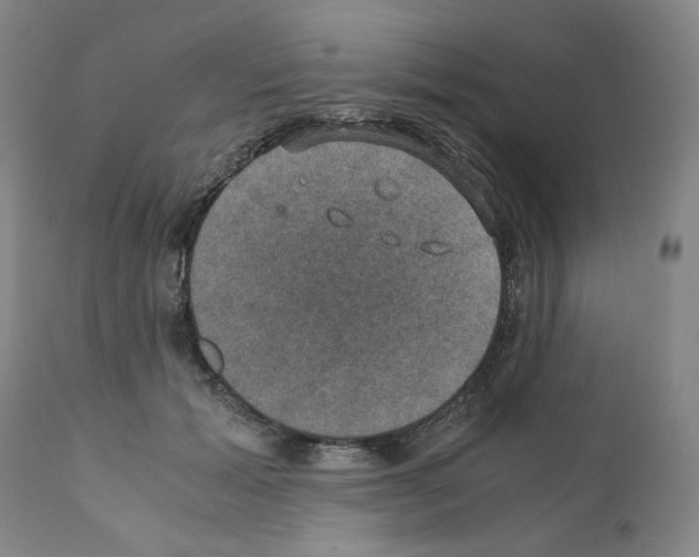 X0000110890605200907301544