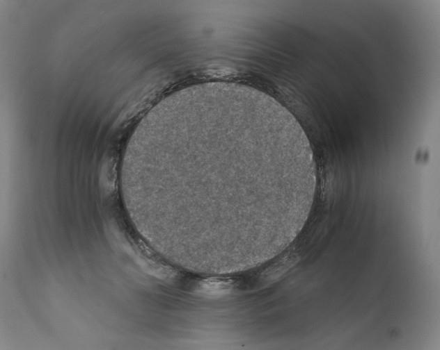 X0000110890606200907301544