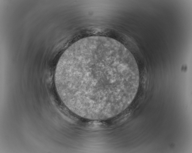 X0000110890607200907301544