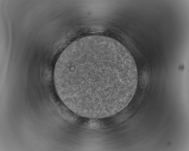 X0000110890608200907301544
