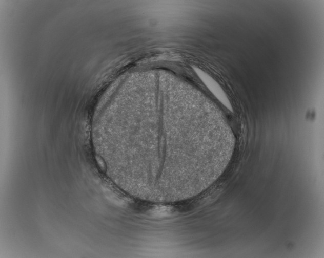 X0000110890609200907301544