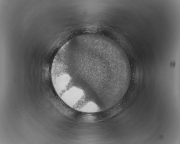 X0000110890610200907301544