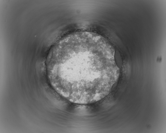 X0000110890611200907301544