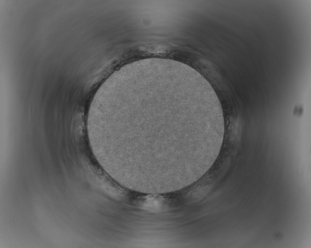 X0000110890612200907301544