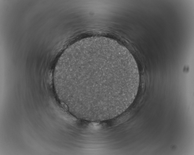 X0000110890613200907301544