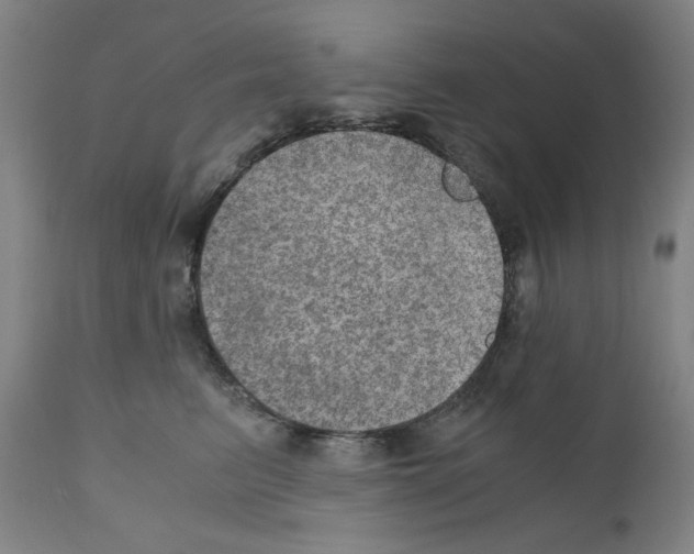 X0000110890615200907301544