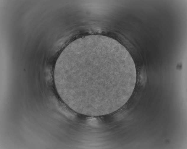 X0000110890616200907301544