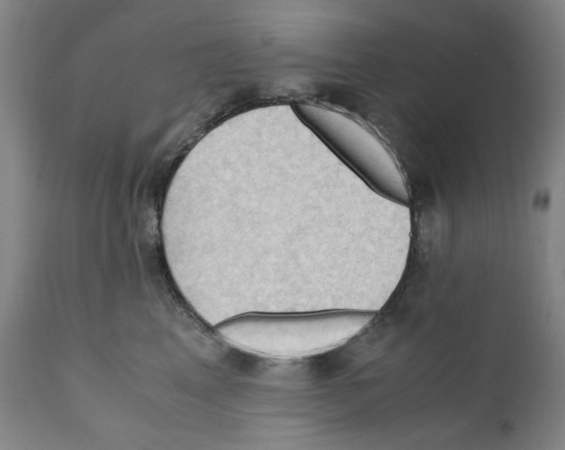 X0000110890617200907301544