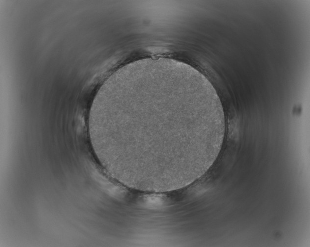 X0000110890618200907301544
