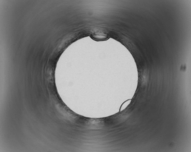 X0000110890619200907301544