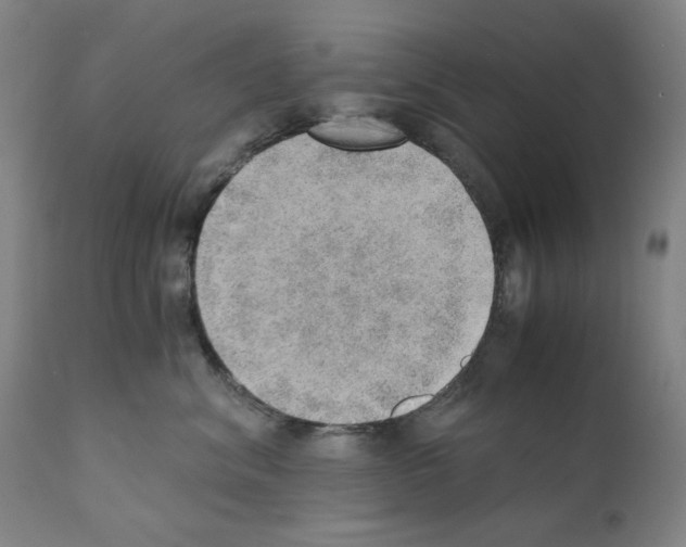 X0000110890620200907301544