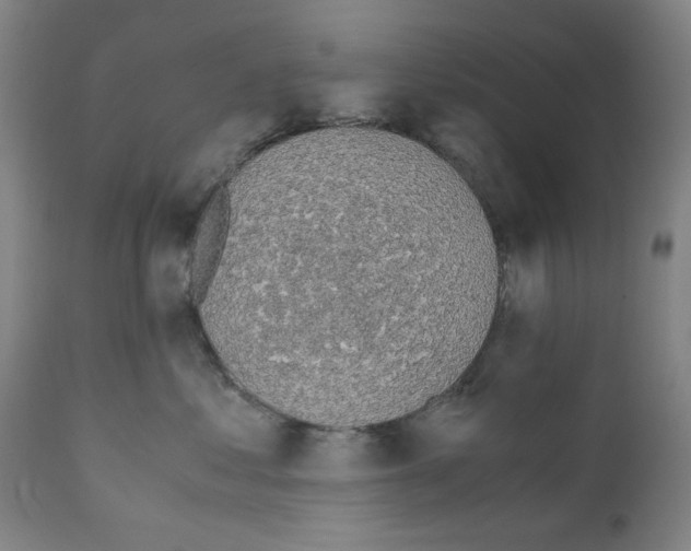 X0000110890621200907301544