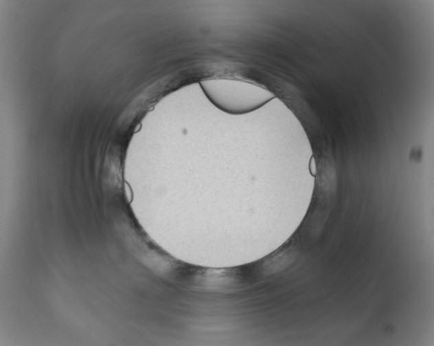 X0000110890622200907301544