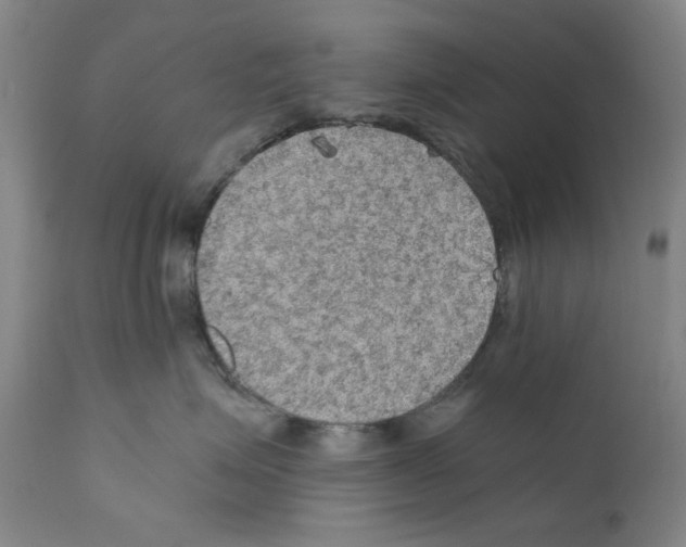 X0000110890623200907301544