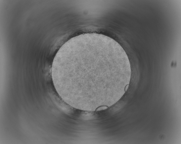 X0000110890624200907301544