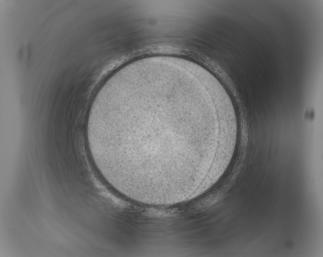 X0000110890625200907301543