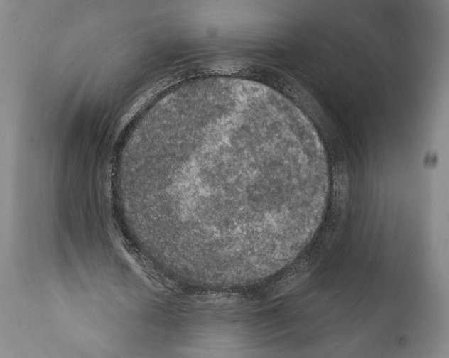 X0000110890626200907301543