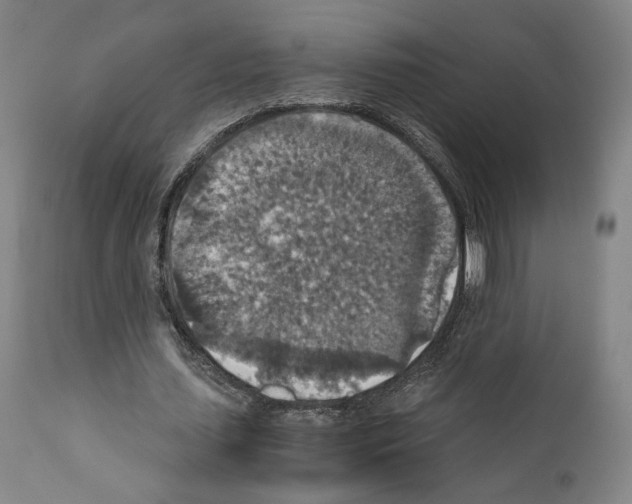 X0000110890627200907301543